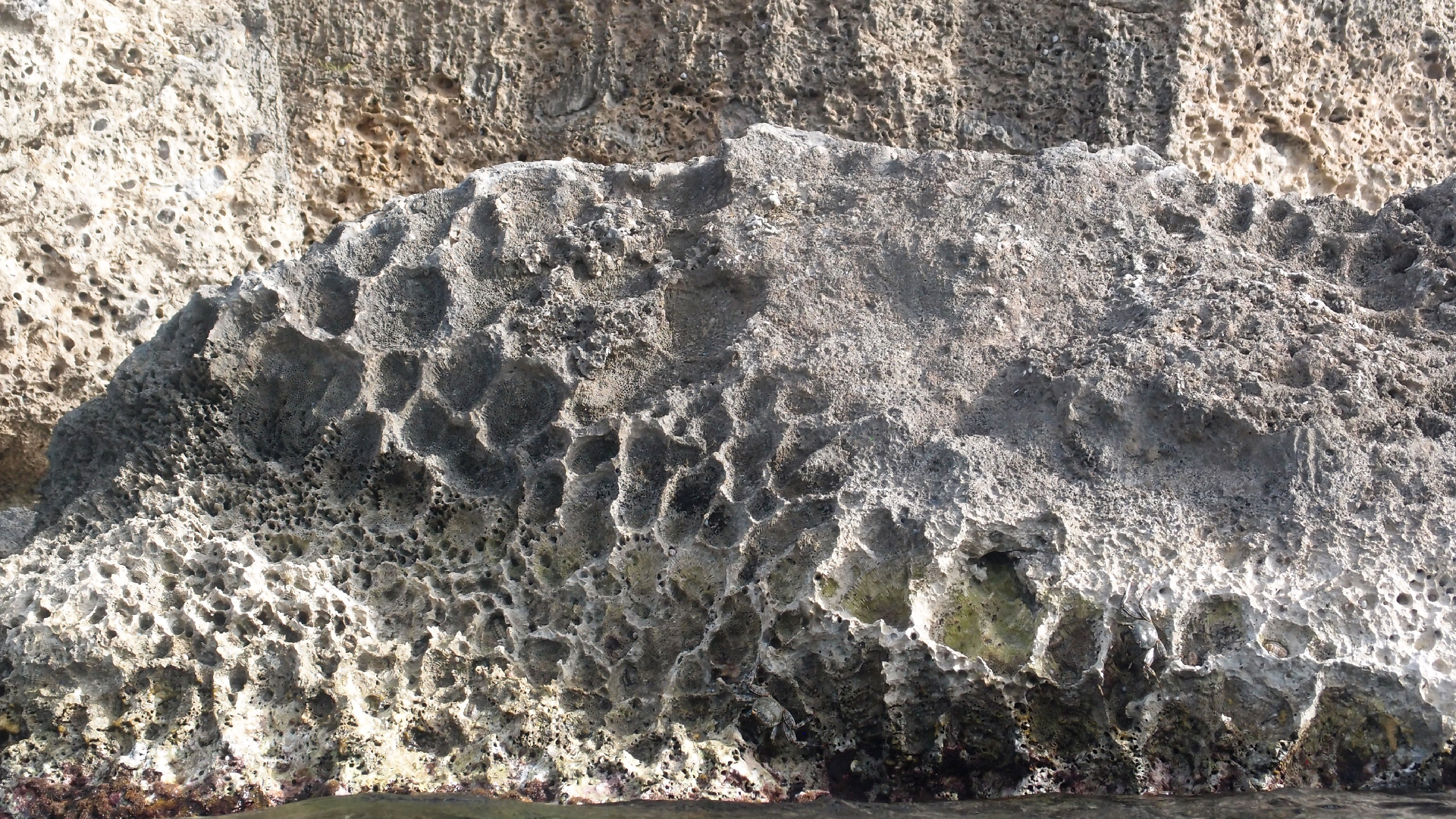 2022-04-18 02 Playa Lagun (Video)